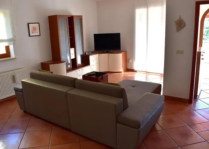 Apartment Take A Look